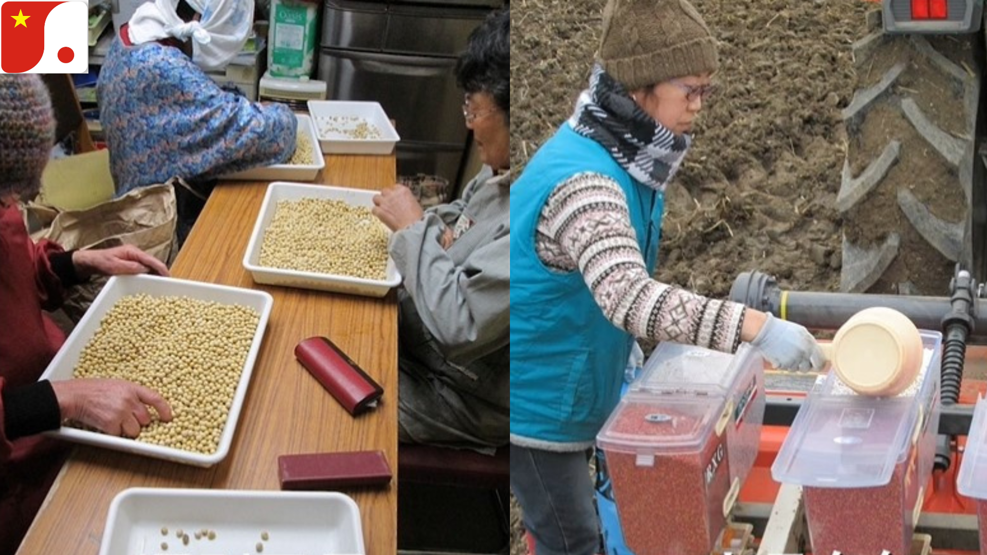 Đơn hàng: TOKUTEI - NÔNG NGHIỆP